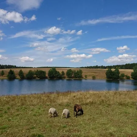 Apartamento H@rz4u Clausthal-Zellerfeld