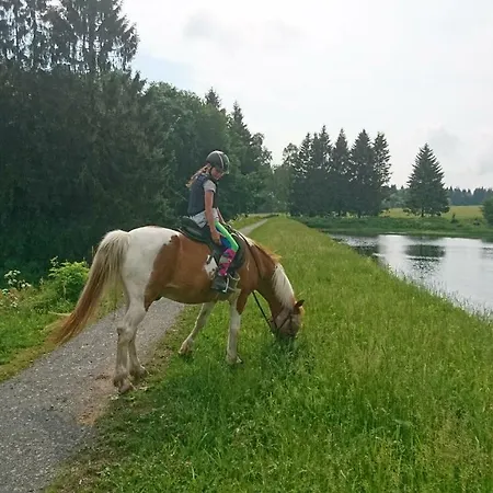 H@rz4u Apartamento *